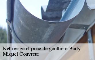 Nettoyage et pose de gouttière  barly-62810 Miquel Couvreur
