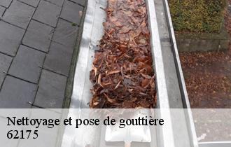Nettoyage et pose de gouttière 62175