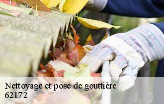 Nettoyage et pose de gouttière  62172