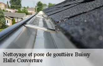 Nettoyage et pose de gouttière  buissy-62860 Halle Couverture