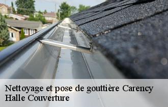 Nettoyage et pose de gouttière  carency-62144 Halle Couverture