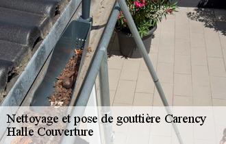 Nettoyage et pose de gouttière  62144