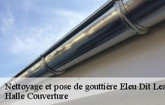 Nettoyage et pose de gouttière