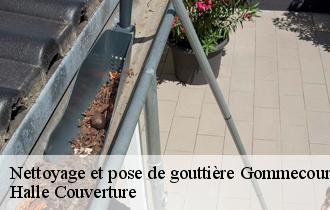 Nettoyage et pose de gouttière  62111