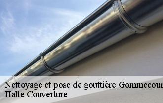 Nettoyage et pose de gouttière