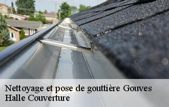 Nettoyage et pose de gouttière  gouves-62123 Halle Couverture