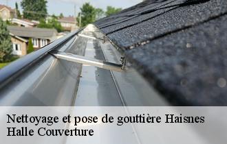 Nettoyage et pose de gouttière  haisnes-62138 Halle Couverture