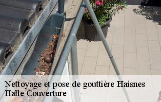 Nettoyage et pose de gouttière  62138