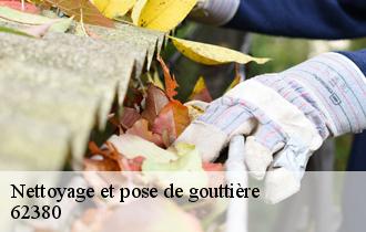 Nettoyage et pose de gouttière  62380