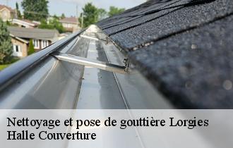 Nettoyage et pose de gouttière  lorgies-62840 Halle Couverture