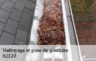Nettoyage et pose de gouttière  62120