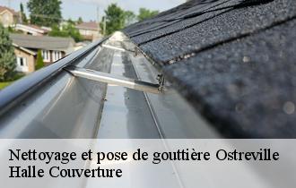 Nettoyage et pose de gouttière  ostreville-62130 Halle Couverture