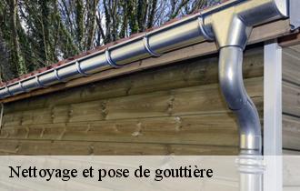 Nettoyage et pose de gouttière