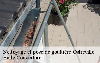 Nettoyage et pose de gouttière  62130