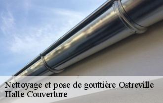 Nettoyage et pose de gouttière