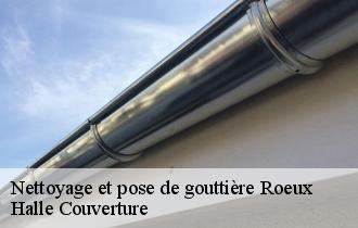 Nettoyage et pose de gouttière