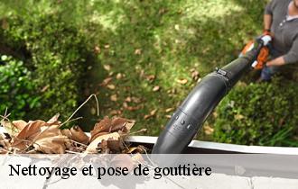 Nettoyage et pose de gouttière