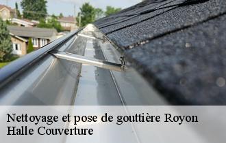 Nettoyage et pose de gouttière  royon-62990 Halle Couverture
