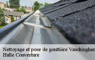 Nettoyage et pose de gouttière vaudringhem-62380 MDJ Couverture