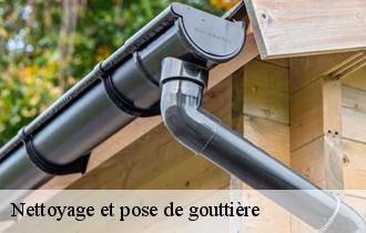 Nettoyage et pose de gouttière  62880