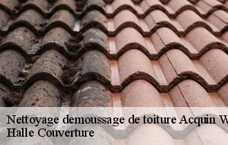 Nettoyage demoussage de toiture 62380