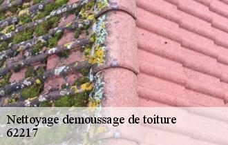 Nettoyage demoussage de toiture  62217