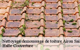 Nettoyage demoussage de toiture
