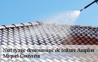 Nettoyage demoussage de toiture  amplier-62760 Miquel Couvreur