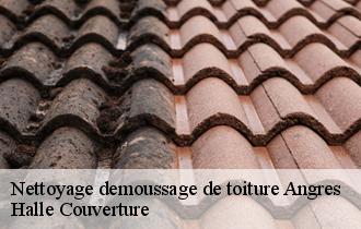 Nettoyage demoussage de toiture 62143