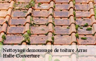 Nettoyage demoussage de toiture