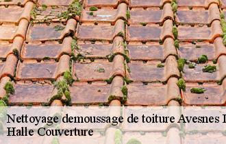 Nettoyage demoussage de toiture