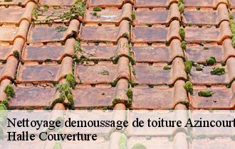 Nettoyage demoussage de toiture