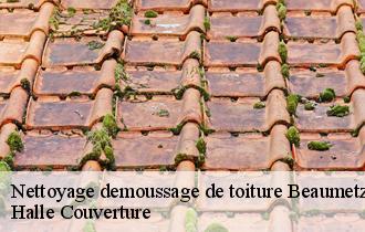 Nettoyage demoussage de toiture