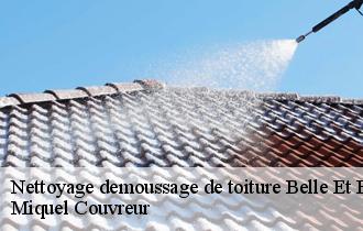 Nettoyage demoussage de toiture  belle-et-houllefort-62142 Miquel Couvreur