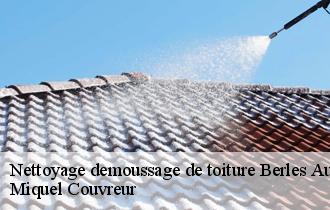 Nettoyage demoussage de toiture  berles-au-bois-62123 Miquel Couvreur