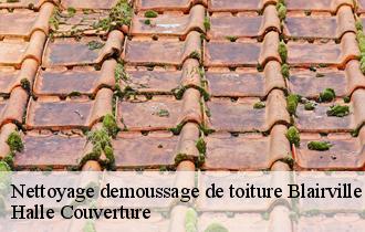 Nettoyage demoussage de toiture