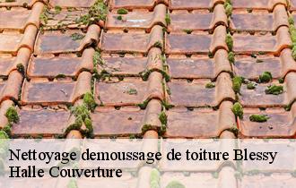 Nettoyage demoussage de toiture