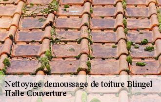 Nettoyage demoussage de toiture