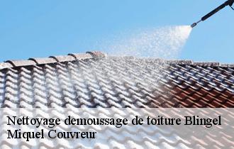 Nettoyage demoussage de toiture  blingel-62770 Miquel Couvreur