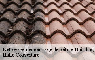 Nettoyage demoussage de toiture 62500
