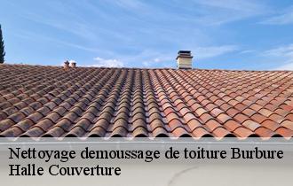 Nettoyage demoussage de toiture burbure-62151 Halle Couverture