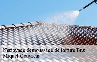 Nettoyage demoussage de toiture  bus-62124 Miquel Couvreur