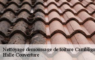 Nettoyage demoussage de toiture 62690
