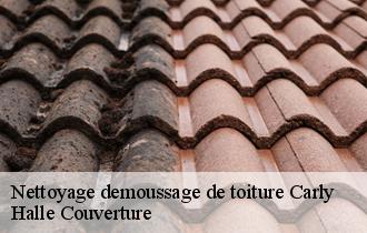 Nettoyage demoussage de toiture 62830