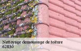 Nettoyage demoussage de toiture 62830