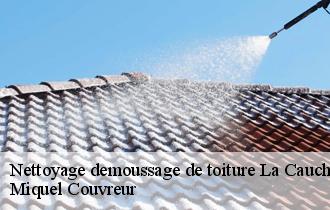 Nettoyage demoussage de toiture  la-cauchie-62158 Miquel Couvreur