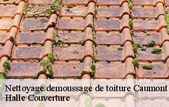 Nettoyage demoussage de toiture