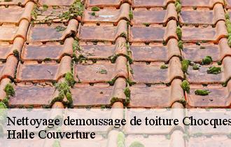 Nettoyage demoussage de toiture