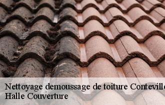 Nettoyage demoussage de toiture  62126