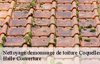 Nettoyage demoussage de toiture